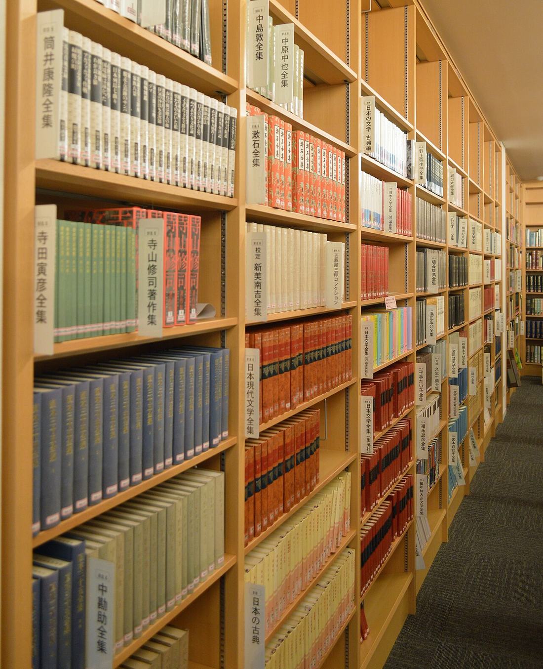 Bookshelves in a public library